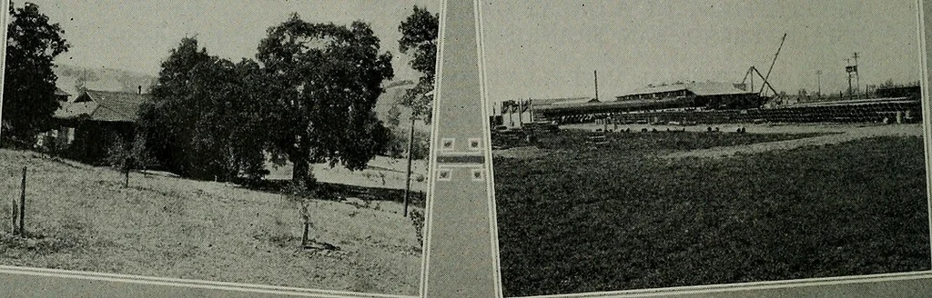 An illustration from Pacific service magazine, 1912, leaf 81