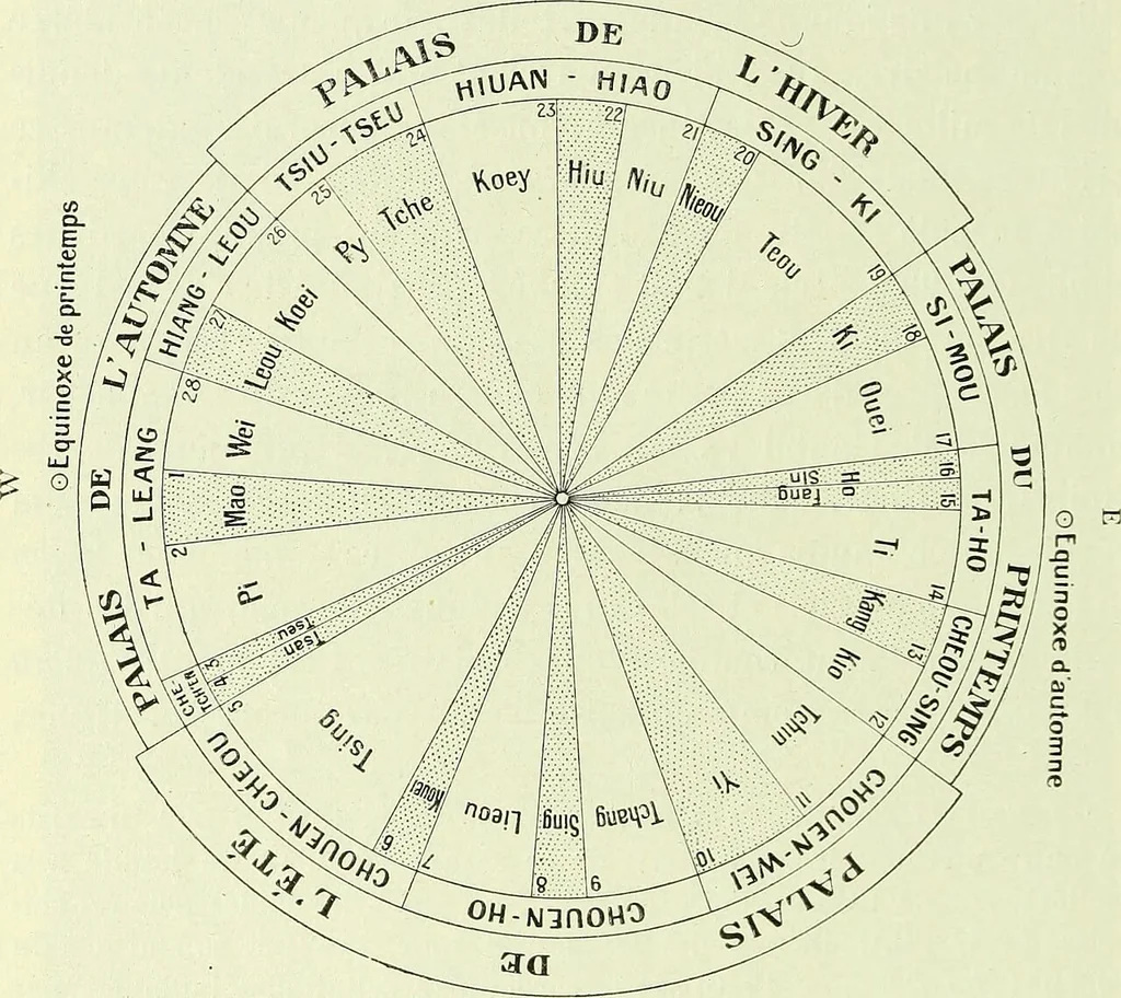 An illustration from Archives des sciences physiques et naturelles, 1919, leaf 605
