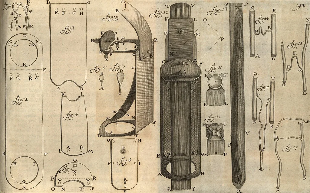 An illustration from Arcana naturae detecta, 1695, leaf 220