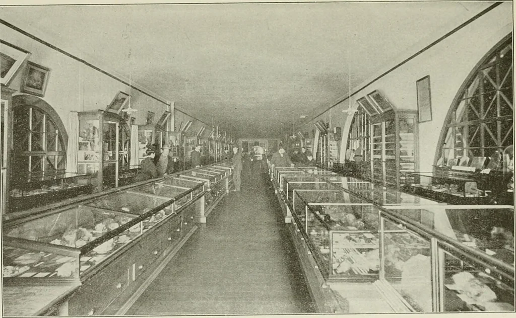 An illustration from General index to publications of the California State Mining Bureau, 1907, leaf 50