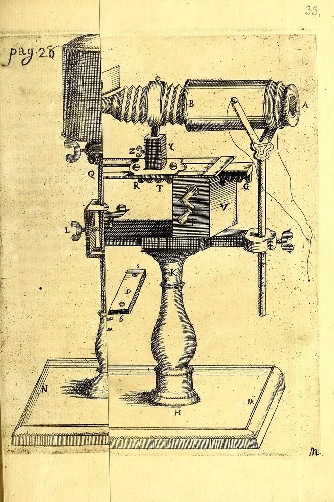An illustration from Obseruationes circa viuentia, quæ in rebus non viuentibus reperiuntur : Cum micrographia curiosa siue Rerum minutissimarum obseruationibus, quæ ope microscopij recognitæ ad viuum exprimuntur : his accesserunt aliquot animalium testaceorum icones non antea in lucem editæ : omnia curiosorum naturæ exploratorum vtilitati & iucunditati expressa & oblata, 1691, leaf 462