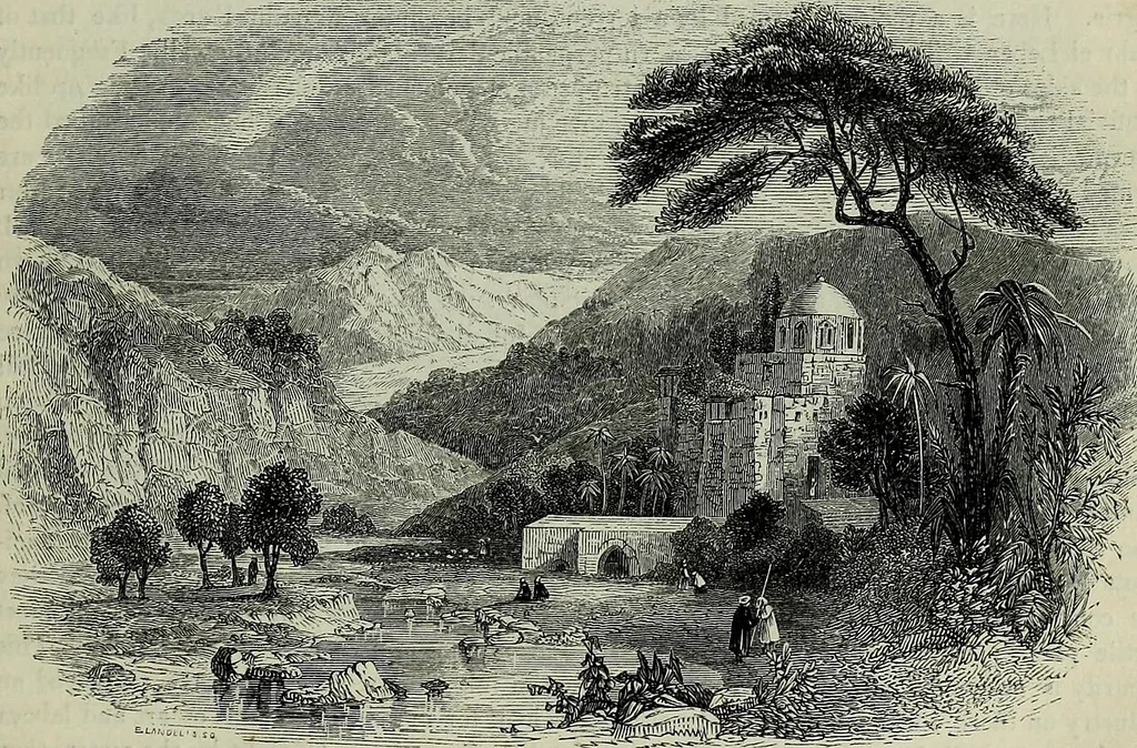 An illustration from Palestine : the physical geography and natural history of the Holy Land, 1841, leaf 46