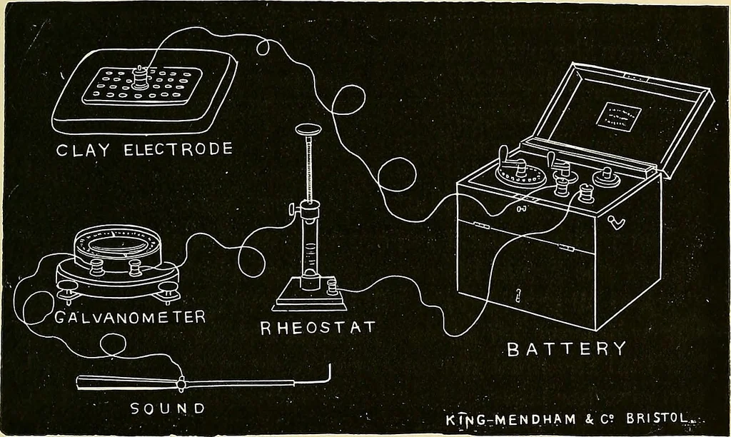 An illustration from A manual of practical medical electricity : the Röntgen rays and Finsen light, 1902, leaf 276