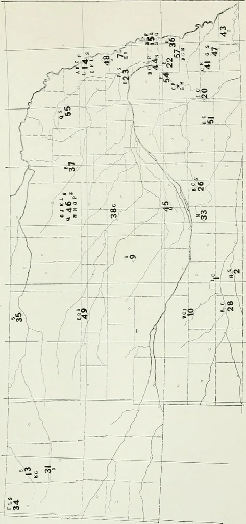 An illustration from Transactions, 1879, leaf 232