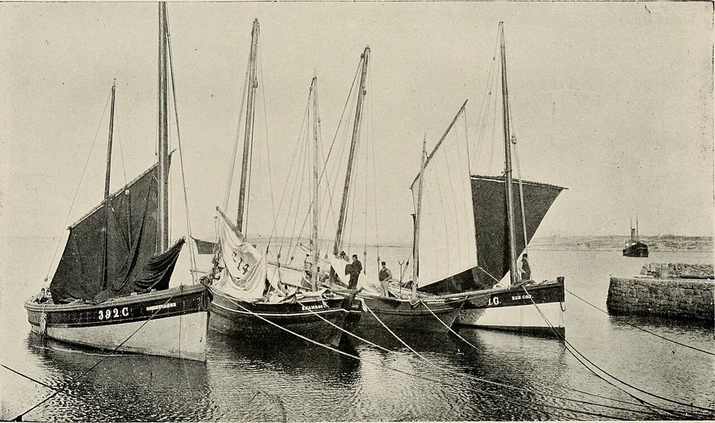 An illustration from Ireland; industrial and agricultural, 1902, leaf 336