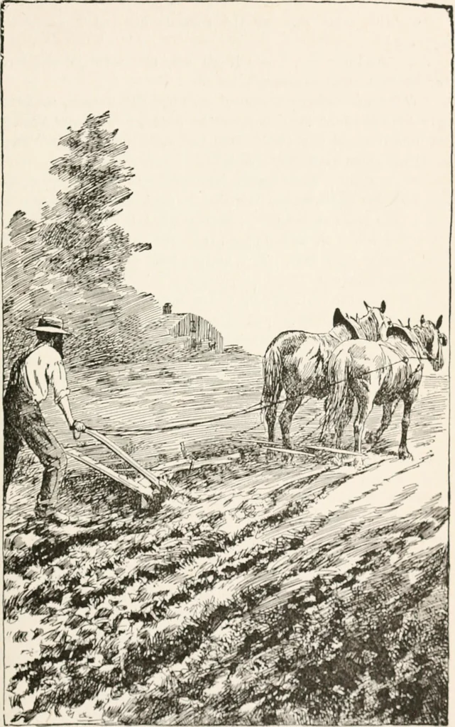 An illustration from In the child's world : morning talks and stories for kindergartens, primary schools and homes, 1893, leaf 346