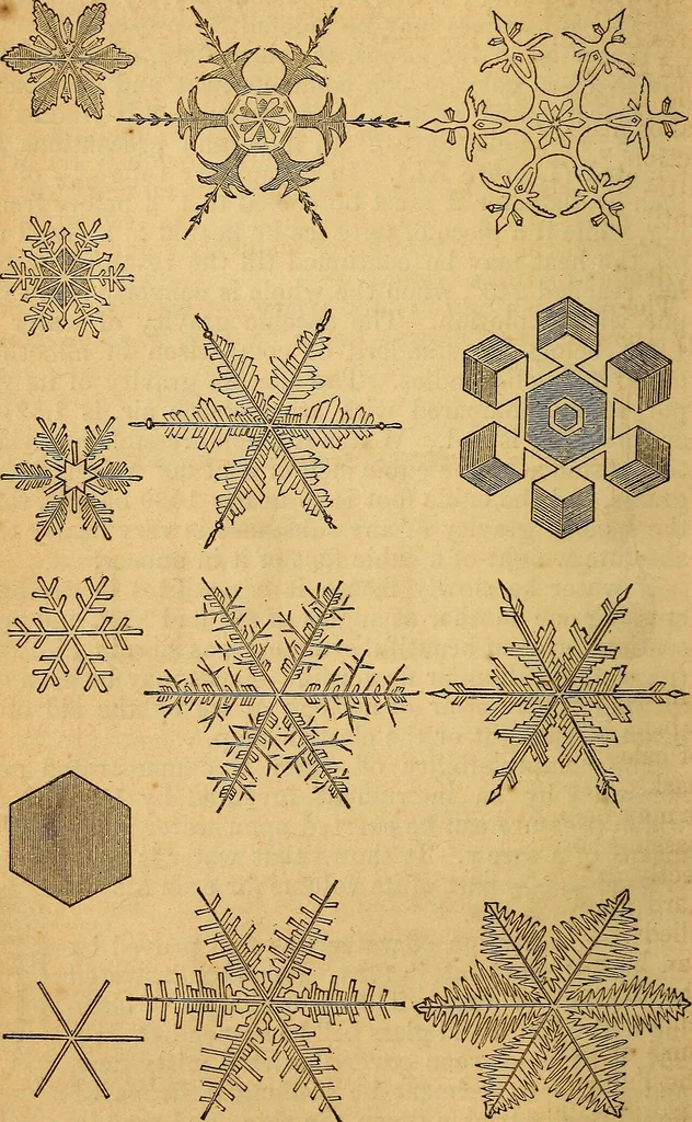 An illustration from A text-book on chemistry. For the use of schools and colleges, 1866, leaf 249