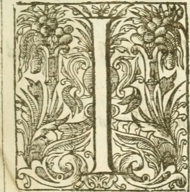 An illustration from The historie of the reigne of King Henry the Seventh ... Whereunto is now added a very usefull and necessary table, 1629, leaf 6