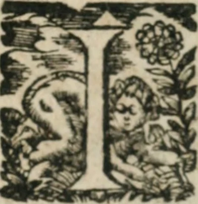 An illustration from Les oevvres morales et politiqves de Messire François Bacon, 1633, leaf 202