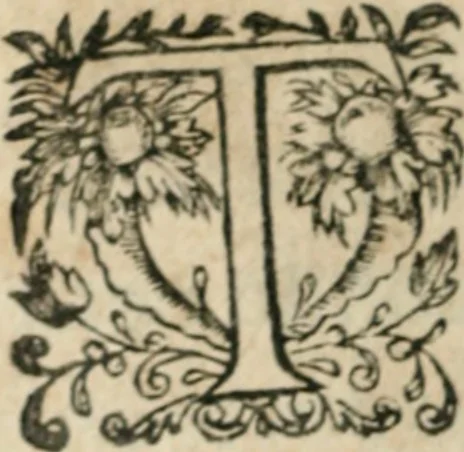 An illustration from Les oevvres morales et politiqves de Messire François Bacon, 1633, leaf 501