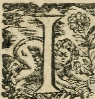 An illustration from Les oevvres morales et politiqves de Messire François Bacon, 1633, leaf 73