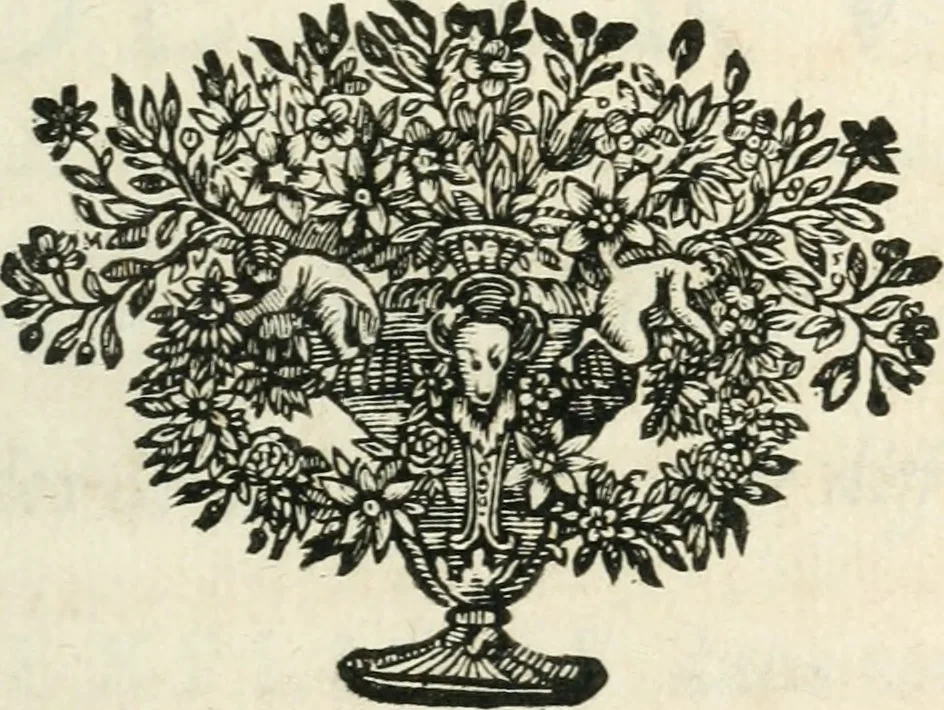 An illustration from Recueil d'ouvrages curieux de mathematique et de mecanique; ou, Description du cabinet de monsieur Grollier de Serviere. Avec près de 100 planches en taille-douce, 1751, leaf 106