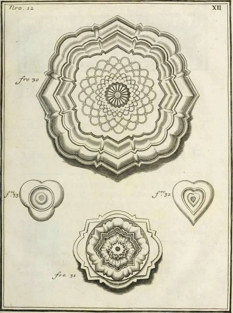 An illustration from Recueil d'ouvrages curieux de mathematique et de mecanique; ou, Description du cabinet de monsieur Grollier de Serviere. Avec près de 100 planches en taille-douce, 1751, leaf 66