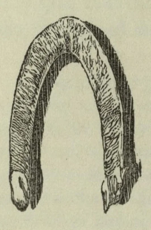 An illustration from A descriptive and historical account of the cotton manufacture of Dacca, in Bengal, 1851, leaf 31