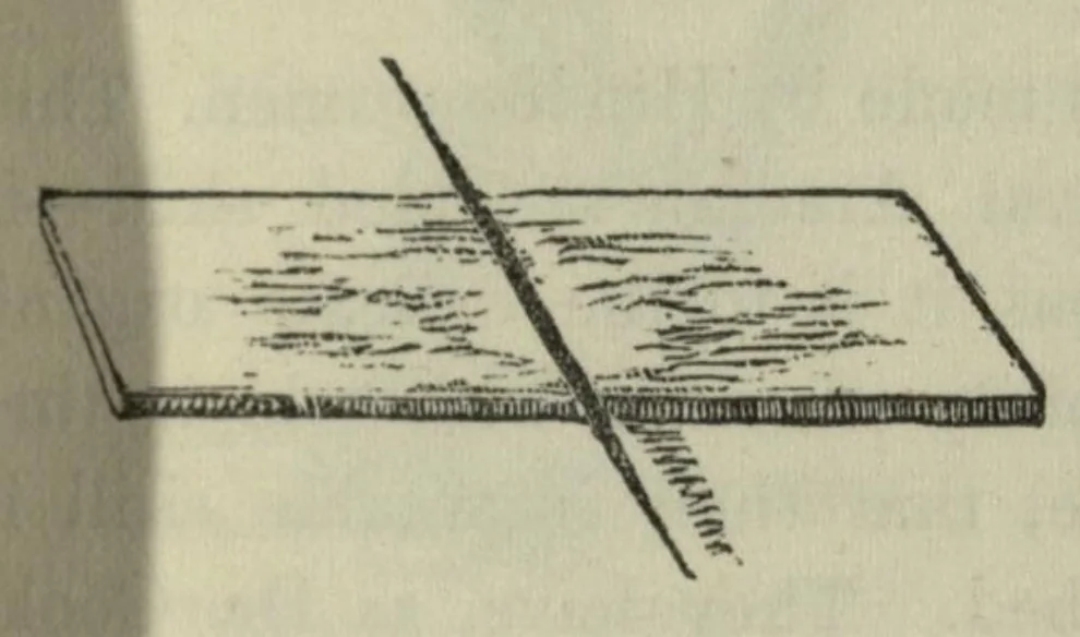 An illustration from A descriptive and historical account of the cotton manufacture of Dacca, in Bengal, 1851, leaf 32