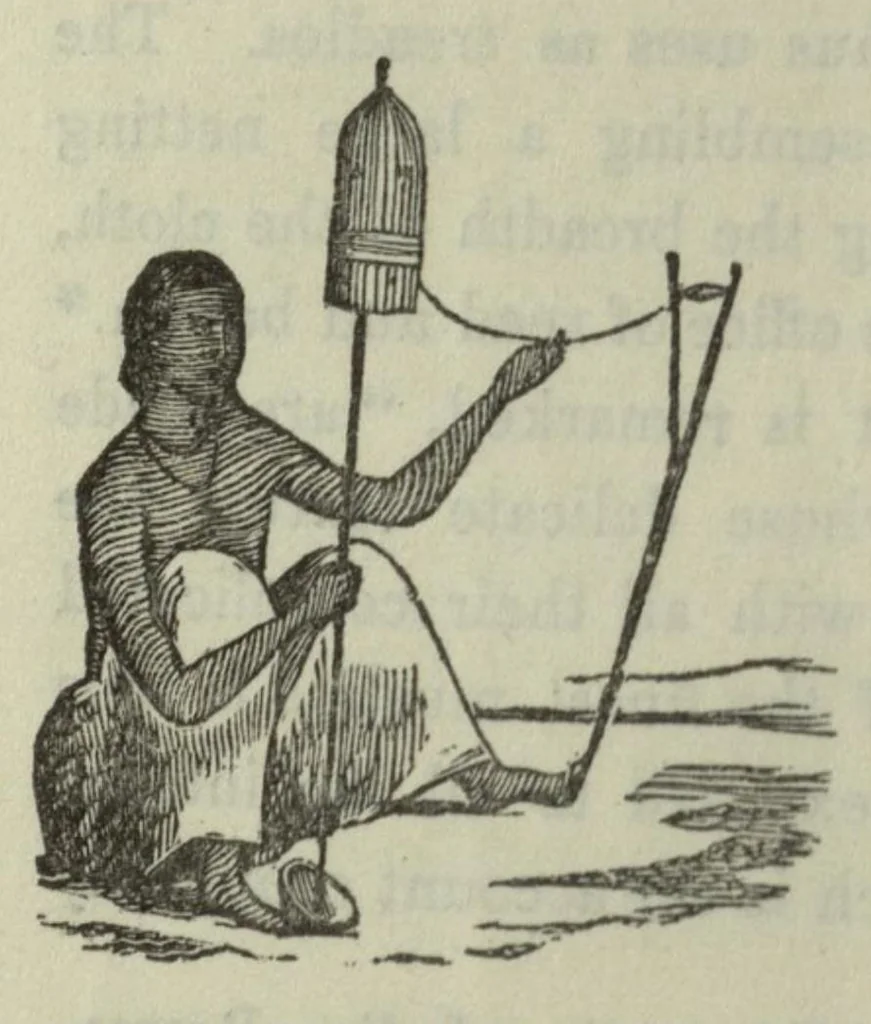 An illustration from A descriptive and historical account of the cotton manufacture of Dacca, in Bengal, 1851, leaf 41