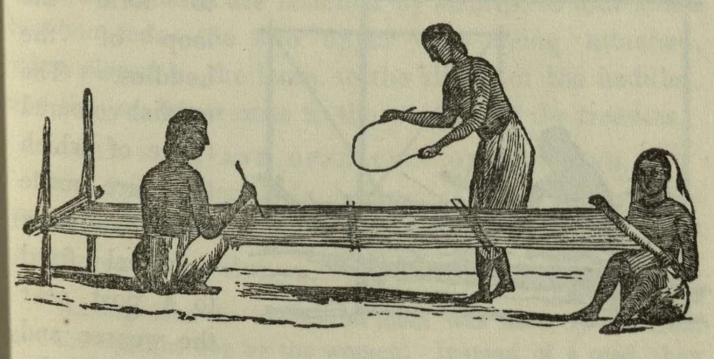An illustration from A descriptive and historical account of the cotton manufacture of Dacca, in Bengal, 1851, leaf 46