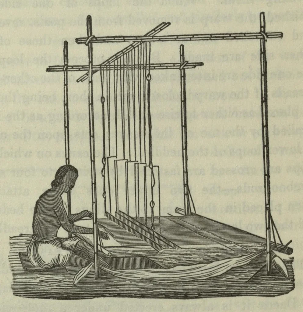 An illustration from A descriptive and historical account of the cotton manufacture of Dacca, in Bengal, 1851, leaf 49