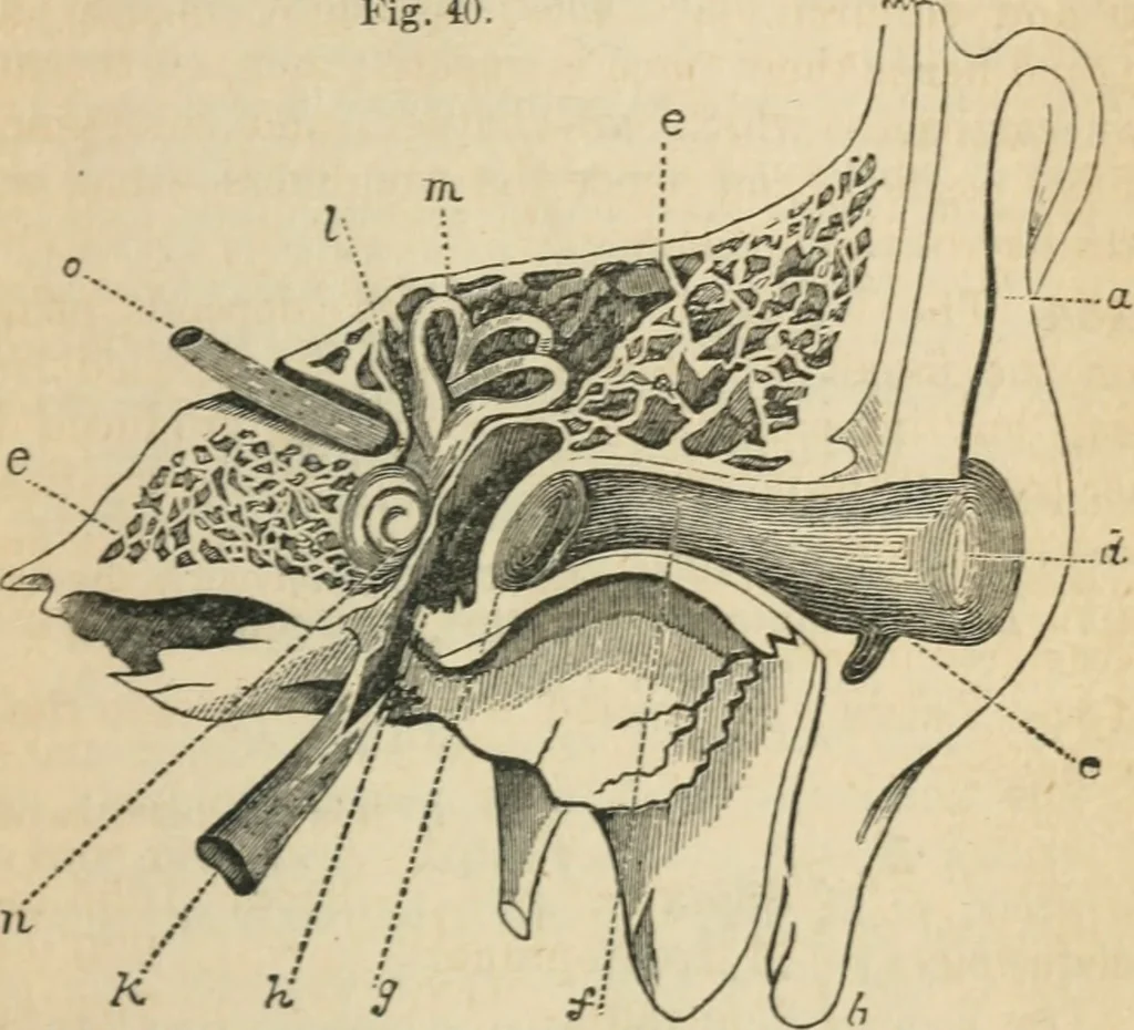 An illustration from Natural philosophy. including statics, hydrostatics, pneumatics, dynamics, hydrodynamics, the general theory of undulations, the science of sound, the mechanical theory of music, etc. : designed for the use of normal and grammar schools, and the higher classes in common schools, 1867, leaf 184