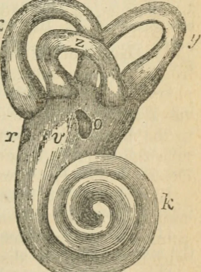 An illustration from Natural philosophy. including statics, hydrostatics, pneumatics, dynamics, hydrodynamics, the general theory of undulations, the science of sound, the mechanical theory of music, etc. : designed for the use of normal and grammar schools, and the higher classes in common schools, 1867, leaf 186