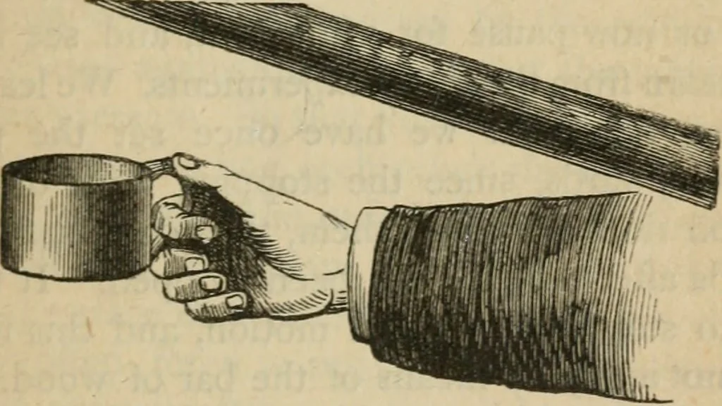An illustration from Physics, 1875, leaf 14