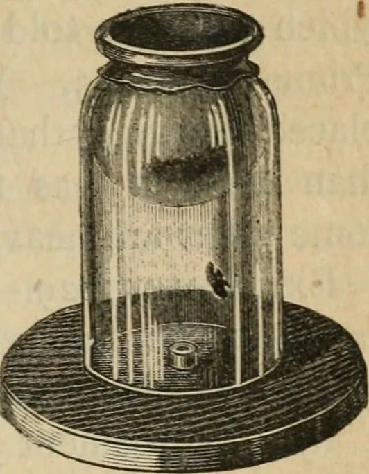 An illustration from Physics, 1875, leaf 44