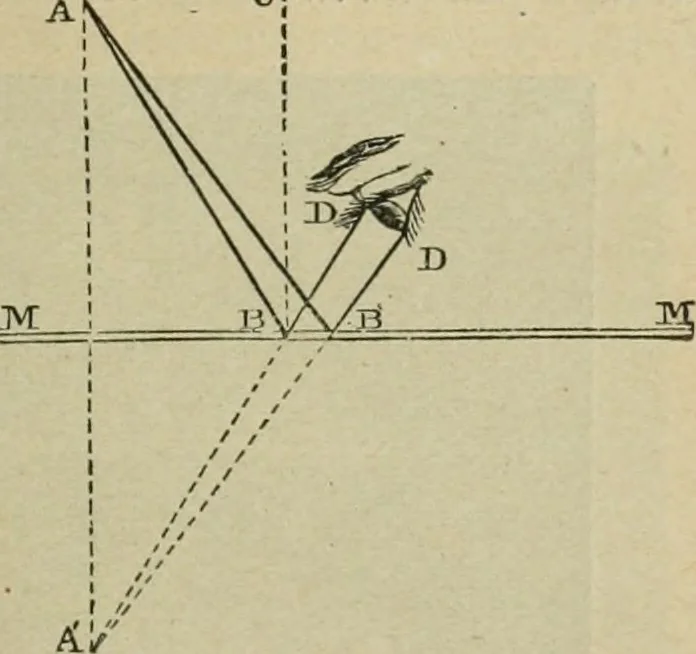 An illustration from Physics, 1881, leaf 104