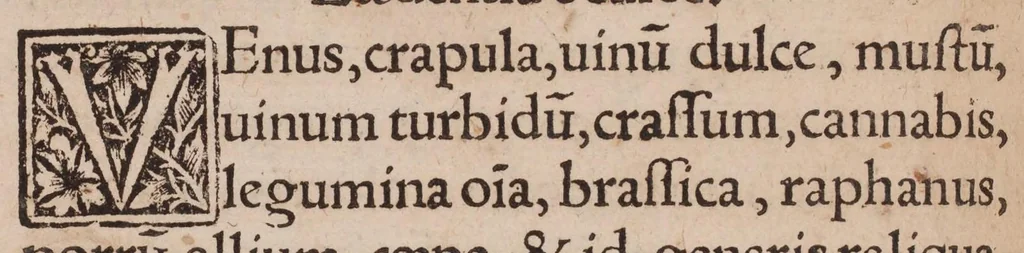An illustration from Castigationes seu emendationes pharmacopolarum, sive apothecariorum, ac Arabum medicorum Mesuȩ, Serapionis, Rasis, Alpharabii, & aliorum juniorum medicorum, ... in quatuor libros ac tomos divisae ... Liber primus De simplicibus medicamentis, quo docentur errata seplasiarum & pharmacopolarum ... ac recentium medicorum ... Liber secundus in quo continentur Castigationes in Antidotarium seu Grabadin Joannis Mesuȩ, Nicolai, Serapionis, ac aliorum recentiorum medicorum. Liber tertius est de ingenio curandorum corporum per medicinas laxativas. Liber quartus complectitur curationes ac remedia aegritudinum principalium humani corporis. Quibus adjungitur Officina apothecariorum, & juniorum medicorum. Item De phlebotomia sive sanguinis missione, & acerbano discorso dell eccellente medico et filosofo m andrea, 1532, leaf 199
