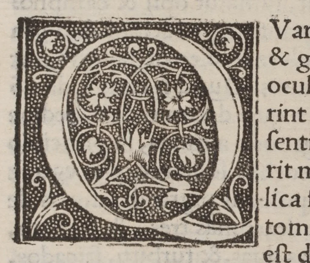 An illustration from Tractatus nonus ad regem Almansorem, de curatione morborum particularium .., 1534, leaf 16