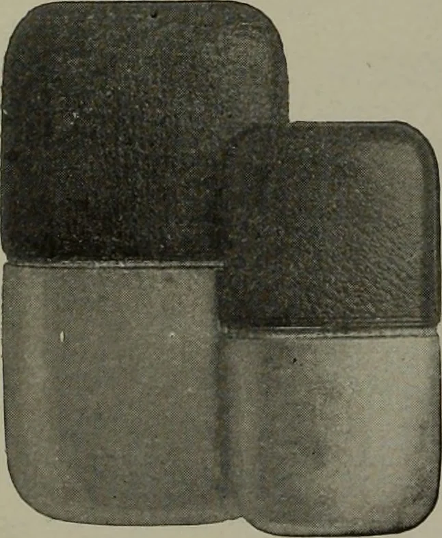 An illustration from 1905 catalogue : the gold and silversmiths, 1905, leaf 53