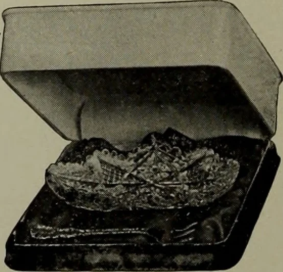 An illustration from 1905 catalogue : the gold and silversmiths, 1905, leaf 79