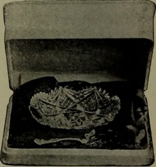 An illustration from 1905 catalogue : the gold and silversmiths, 1905, leaf 79