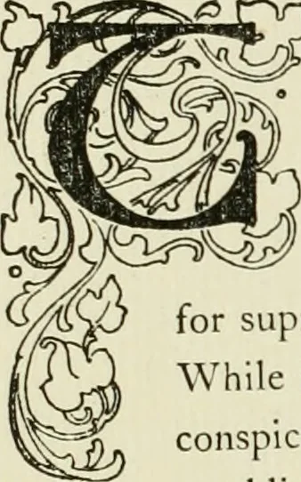 An illustration from The baronial and ecclesiastical antiquities of Scotland, 1909, leaf 202