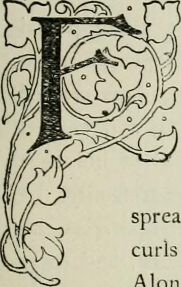An illustration from The baronial and ecclesiastical antiquities of Scotland, 1909, leaf 215