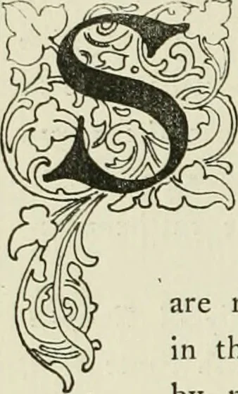 An illustration from The baronial and ecclesiastical antiquities of Scotland, 1909, leaf 222
