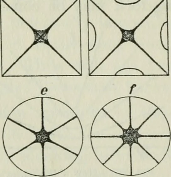 An illustration from The Ontario high school physics, 1911, leaf 203