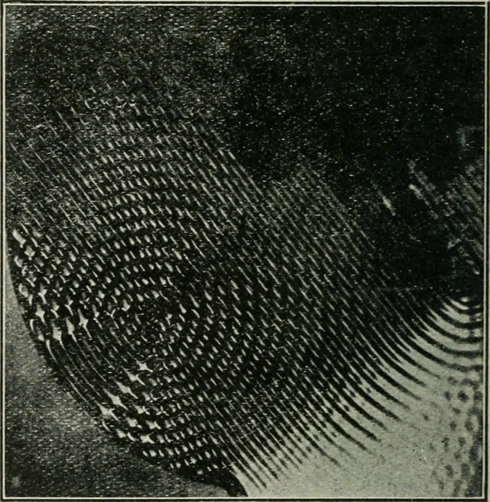 An illustration from The Ontario high school physics, 1911, leaf 323