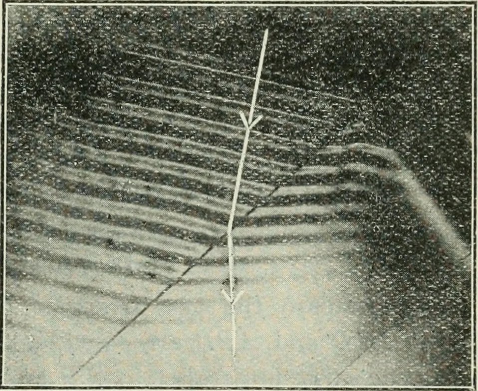 An illustration from The Ontario high school physics, 1911, leaf 332