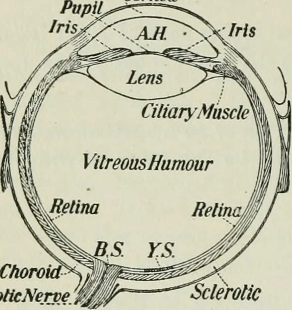 An illustration from The Ontario high school physics, 1911, leaf 367