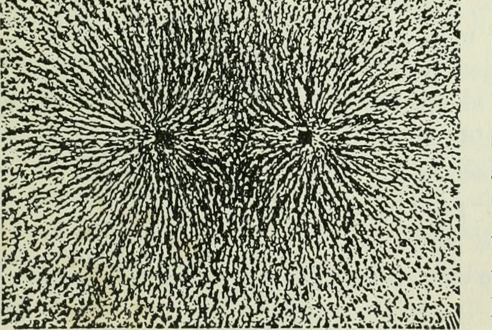 An illustration from The Ontario high school physics, 1911, leaf 382