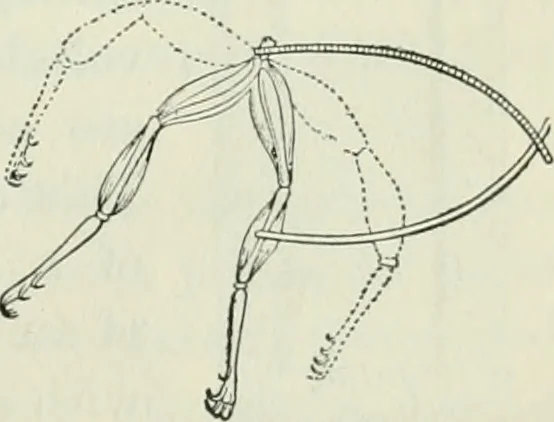 An illustration from The Ontario high school physics, 1911, leaf 408