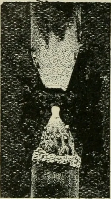 An illustration from The Ontario high school physics, 1911, leaf 471