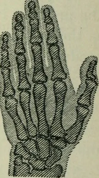 An illustration from The Ontario high school physics, 1911, leaf 499