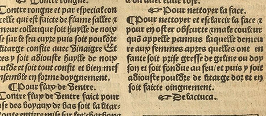 An illustration from Le grant herbier en Francoys, 1540, leaf 240