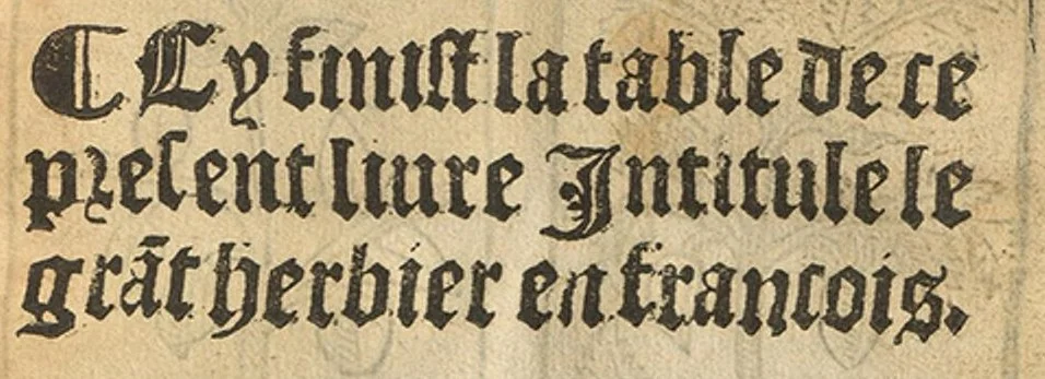 An illustration from Le grant herbier en Francoys, 1540, leaf 50