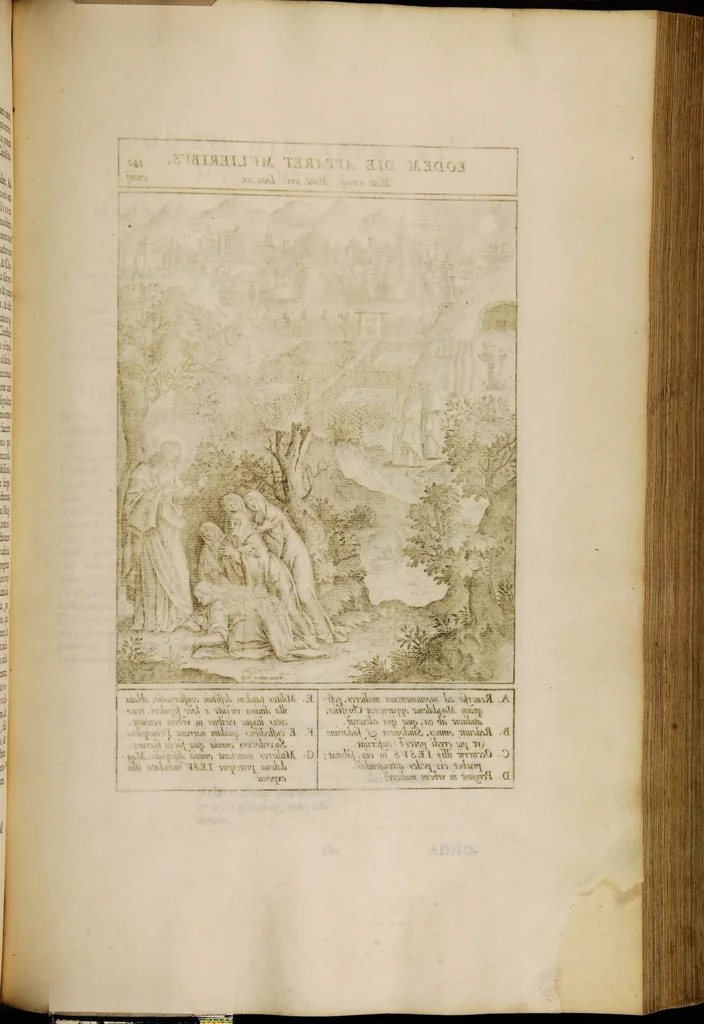 An illustration from Adnotationes et meditationes in Euangelia quae in sacrosancto Missae sacrificio toto anno leguntur: cum eorundem Euangeliorum concordantia, 1607, leaf 677
