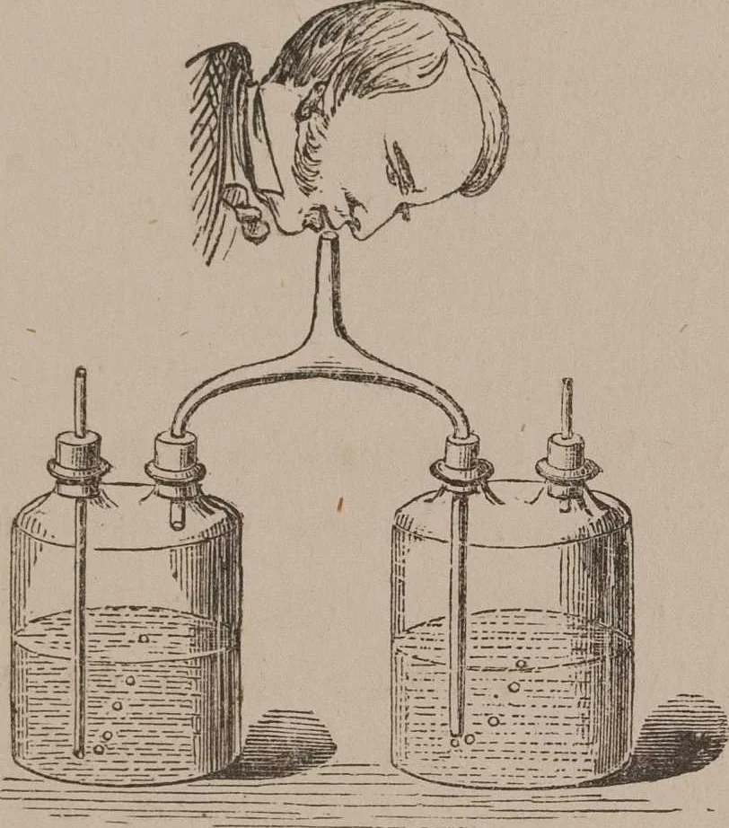 An illustration from A course of six lectures on the chemical history of a candle [electronic resource]: to which is added, a lecture on platinum, 1865, leaf 173