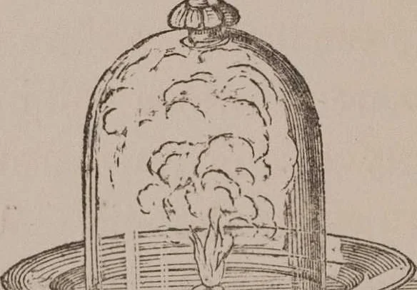 An illustration from A course of six lectures on the chemical history of a candle [electronic resource]: to which is added, a lecture on platinum, 1865, leaf 58