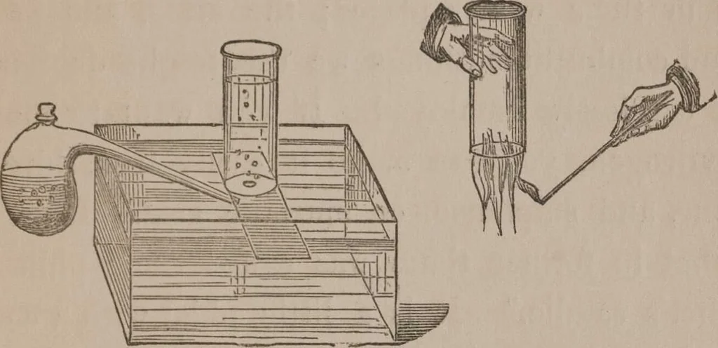 An illustration from A course of six lectures on the chemical history of a candle [electronic resource]: to which is added, a lecture on platinum, 1865, leaf 87