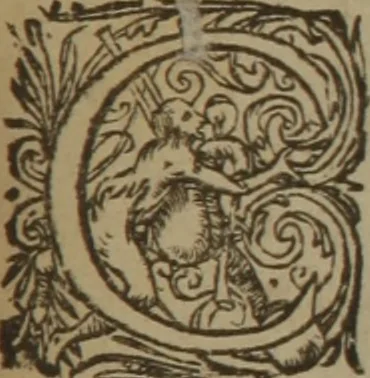 An illustration from A nievve herball, or Historie of plantes : wherein is contayned the whole discourse and perfect description of all sortes of herbes and plantes : their divers & sundry kindes ... and that not onely of those whiche are here growyng in this our countrie of Englande, but of all others also of forrayne realmes commonly used in physicke ; first set foorth in the Doutche or Almaigne tongue, 1578, leaf 14